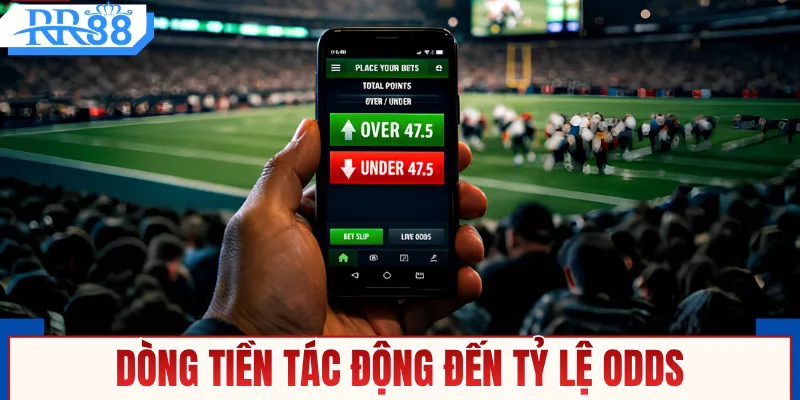 Dòng tiền tác động đến tỷ lệ odds